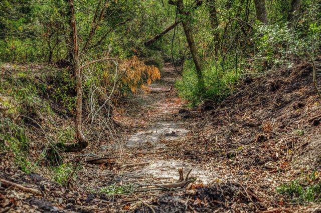 TBD Sun Oil Road, Brenham, TX 77833