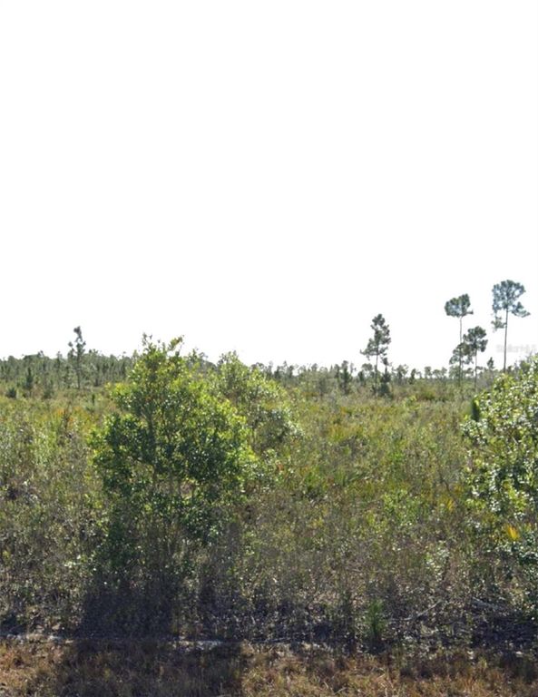 903 CALLIANDRA DRIVE, Indian Lake Estates, FL 33855