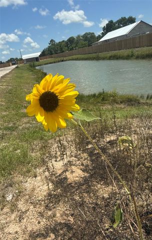 17310 Cowan Road, Alvin, TX 77511