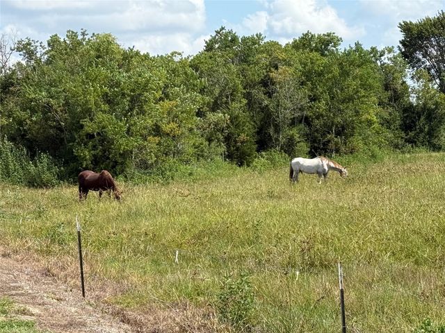17310 Cowan Road, Alvin, TX 77511