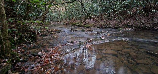 2286 55th Avenue, Gruetli Laager, TN 37339