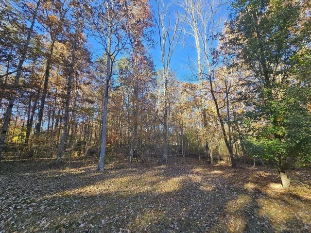 2286 55th Avenue, Gruetli Laager, TN 37339