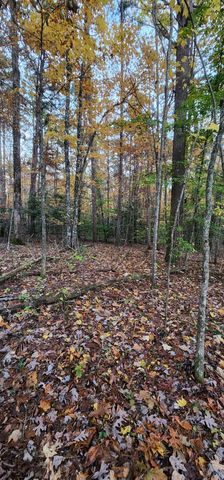 2286 55th Avenue, Gruetli Laager, TN 37339