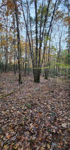 2286 55th Avenue, Gruetli Laager, TN 37339