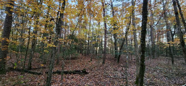 2286 55th Avenue, Gruetli Laager, TN 37339