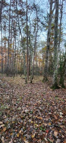 2286 55th Avenue, Gruetli Laager, TN 37339