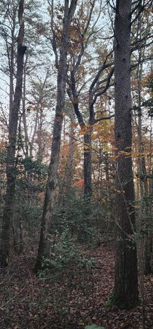 2286 55th Avenue, Gruetli Laager, TN 37339