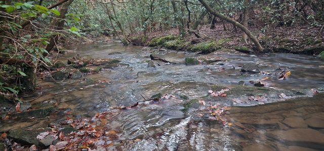 2286 55th Avenue, Gruetli Laager, TN 37339