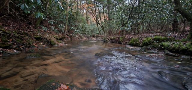 2286 55th Avenue, Gruetli Laager, TN 37339