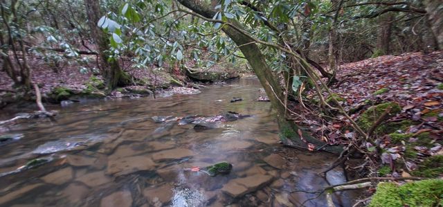 2286 55th Avenue, Gruetli Laager, TN 37339