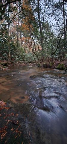 2286 55th Avenue, Gruetli Laager, TN 37339