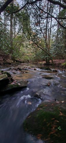 2286 55th Avenue, Gruetli Laager, TN 37339