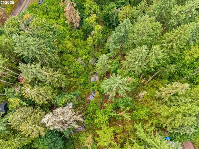 40153 BOOTH KELLY Rd, Springfield, OR 97478