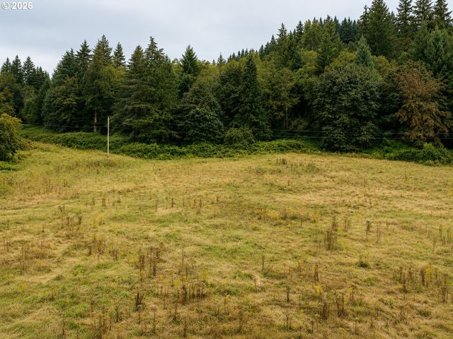 43317 Ne COLUMBIA TIE Rd, Amboy, WA 98601