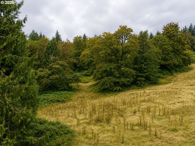 43317 Ne COLUMBIA TIE Rd, Amboy, WA 98601