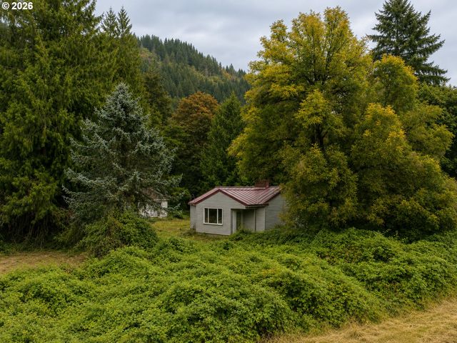 43317 Ne COLUMBIA TIE Rd, Amboy, WA 98601