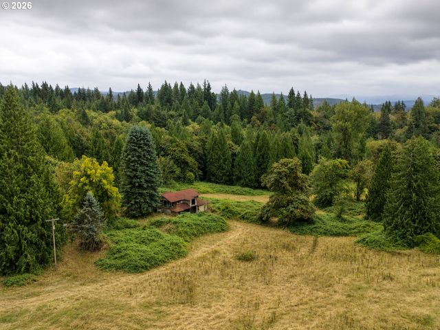43317 Ne COLUMBIA TIE Rd, Amboy, WA 98601