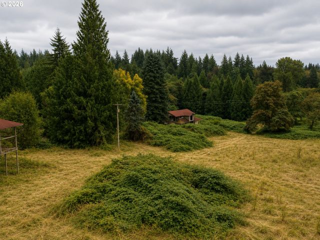 43317 Ne COLUMBIA TIE Rd, Amboy, WA 98601