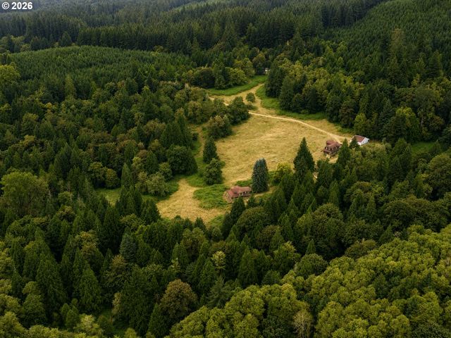 43317 Ne COLUMBIA TIE Rd, Amboy, WA 98601