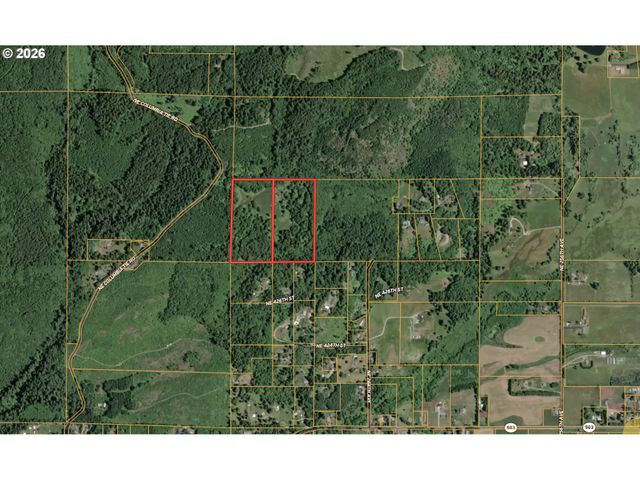43317 Ne COLUMBIA TIE Rd, Amboy, WA 98601