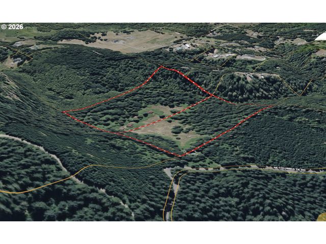 43317 Ne COLUMBIA TIE Rd, Amboy, WA 98601