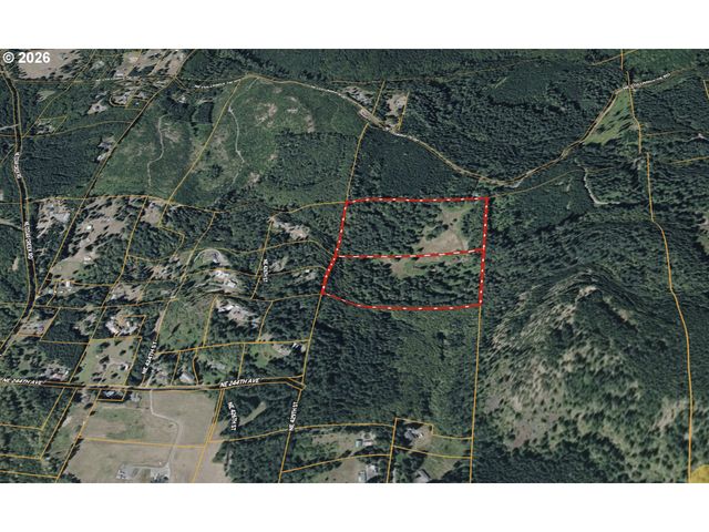 43317 Ne COLUMBIA TIE Rd, Amboy, WA 98601