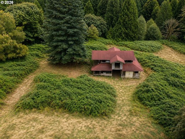 43317 Ne COLUMBIA TIE Rd, Amboy, WA 98601