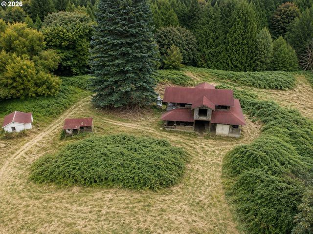 43317 Ne COLUMBIA TIE Rd, Amboy, WA 98601