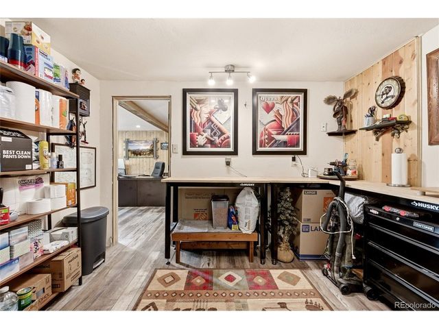 102 Insmont Dr, Bailey, CO 80421