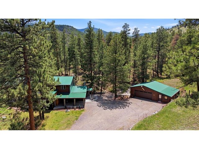 102 Insmont Dr, Bailey, CO 80421