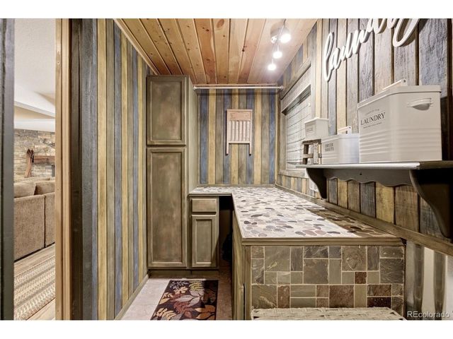 102 Insmont Dr, Bailey, CO 80421