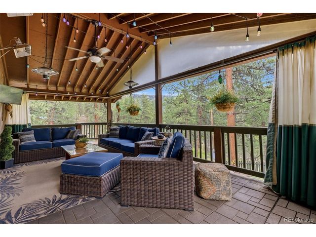 102 Insmont Dr, Bailey, CO 80421