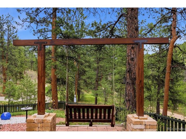102 Insmont Dr, Bailey, CO 80421