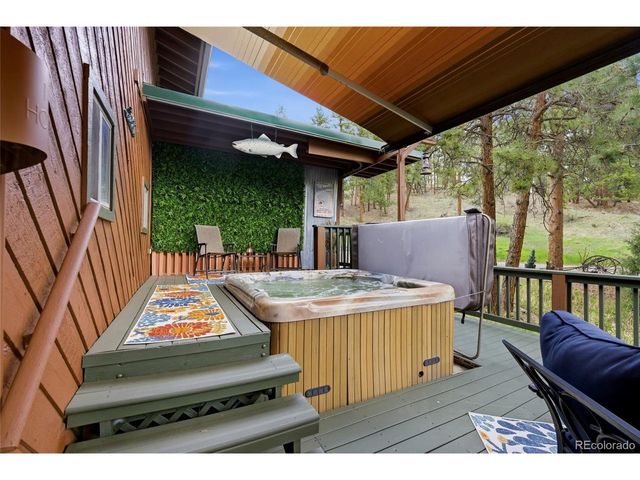 102 Insmont Dr, Bailey, CO 80421