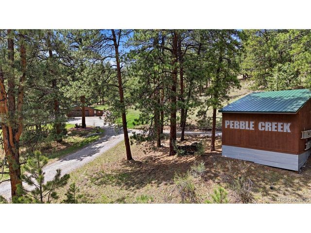 102 Insmont Dr, Bailey, CO 80421