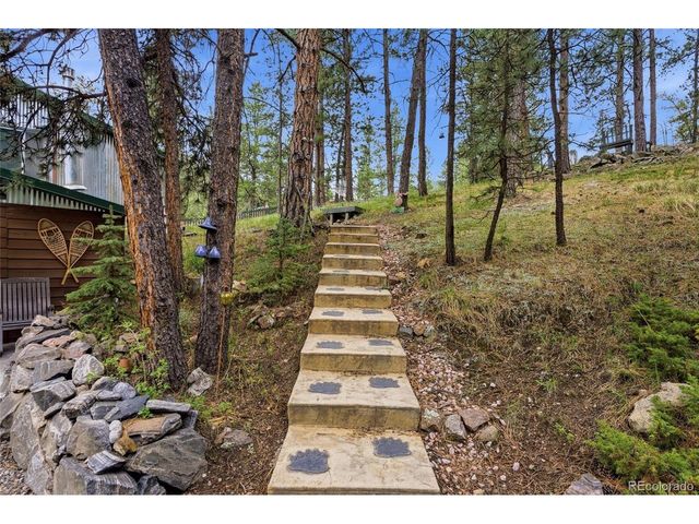102 Insmont Dr, Bailey, CO 80421