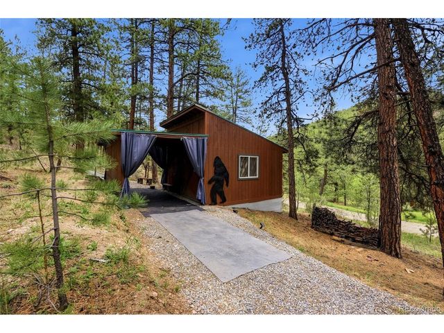 102 Insmont Dr, Bailey, CO 80421