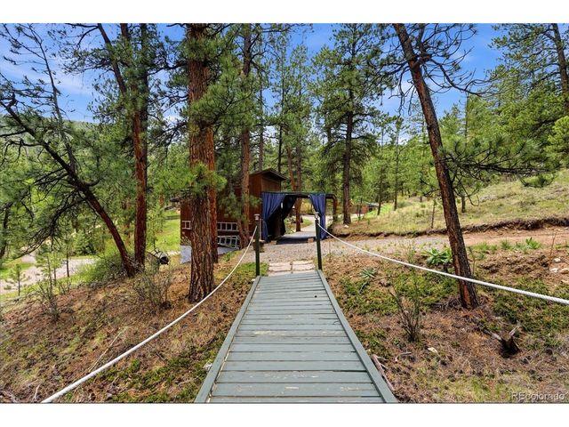 102 Insmont Dr, Bailey, CO 80421