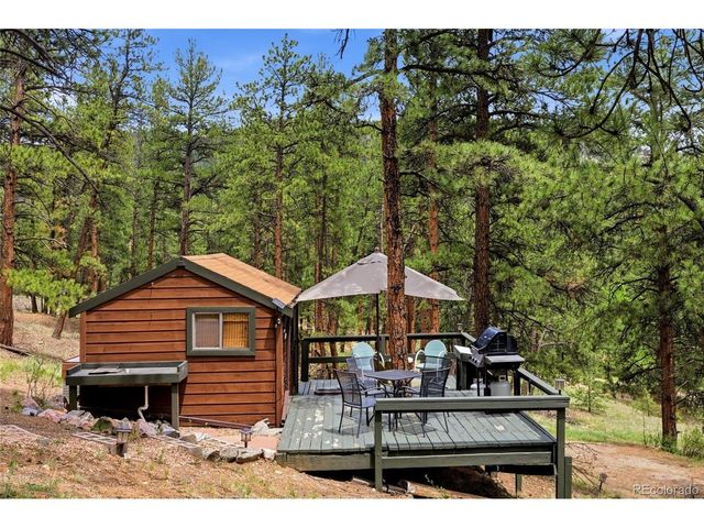 102 Insmont Dr, Bailey, CO 80421
