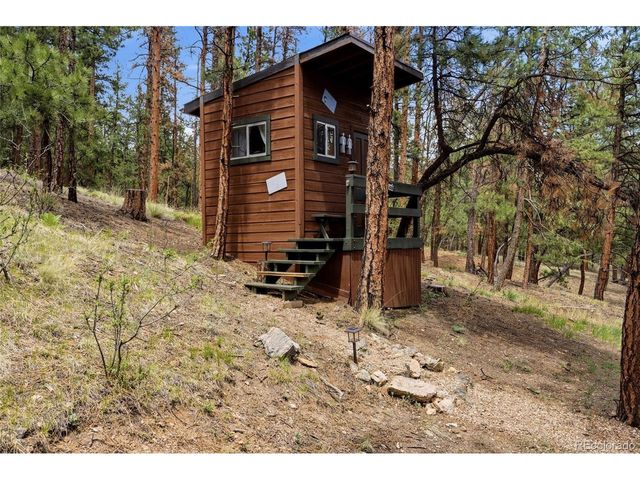 102 Insmont Dr, Bailey, CO 80421