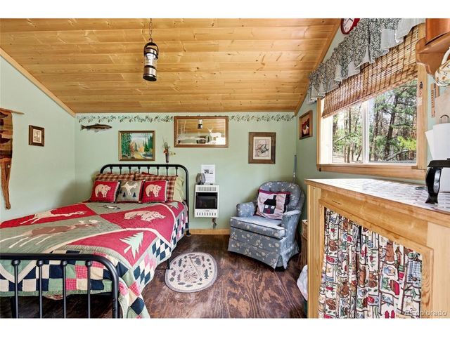 102 Insmont Dr, Bailey, CO 80421