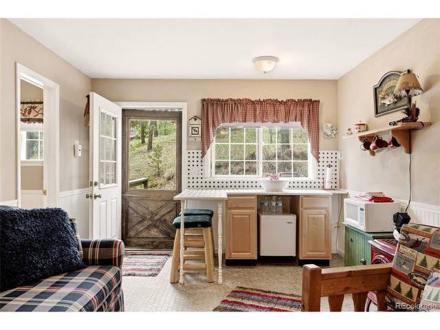 102 Insmont Dr, Bailey, CO 80421