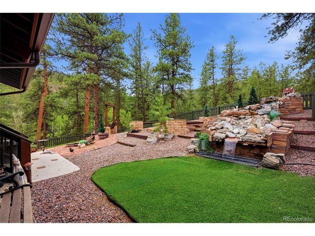 102 Insmont Dr, Bailey, CO 80421