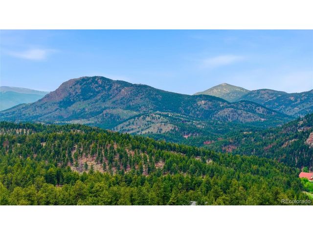 102 Insmont Dr, Bailey, CO 80421