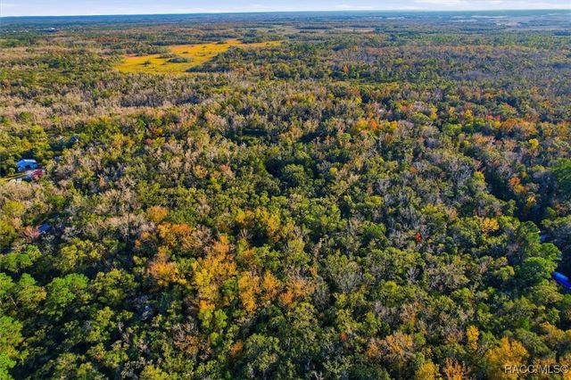 398 S Winterset Avenue, Crystal River, FL 34429