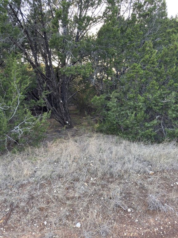 22295 Westmeadow Drive, Whitney, TX 76692