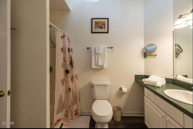 3607 Birdie Lane, Gatlinburg, TN 37738