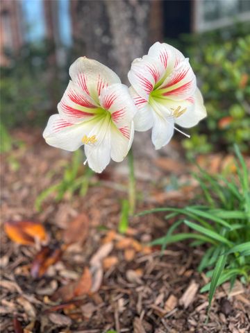 1915 Lakeside Crossing, Katy, TX 77494