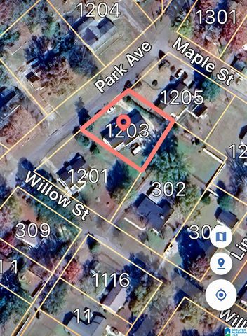 1203 PARK AVENUE, Oneonta, AL 35121