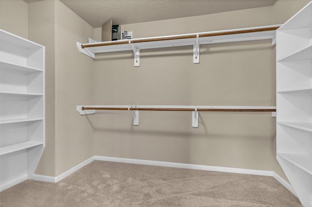 9976 Cassowary Drive, Conroe, TX 77385